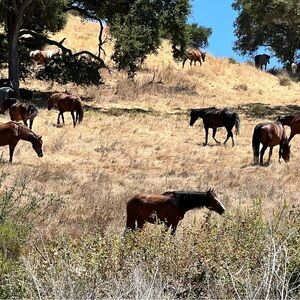 COPY - SHIPPING LABEL